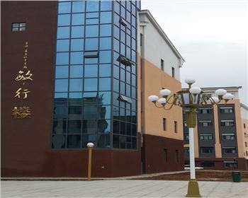 學(xué)校庭院景觀燈-省寶雞高新一中路燈工程