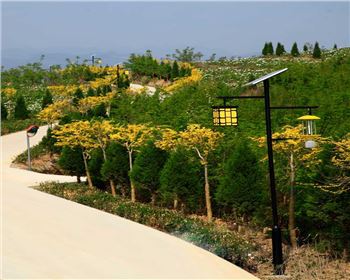 甘肅省隴南市文縣太陽(yáng)能殺蟲燈項(xiàng)目