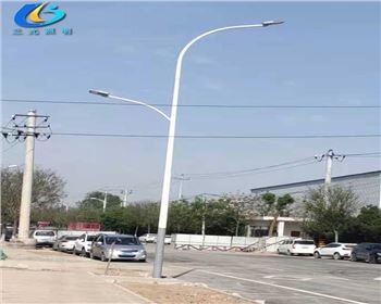 陜西西安市政10米雙臂市電路燈項(xiàng)目